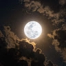 Moon Light_2