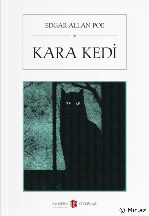 Edgar Allan POE "Kara kedi" PDF