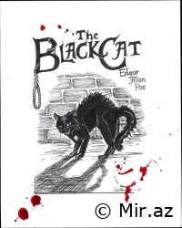 Edgar Allan Poe "The Black Cat" PDF