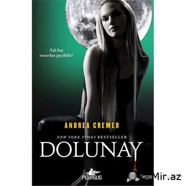 Andrea Cremer "Dolunay" PDF
