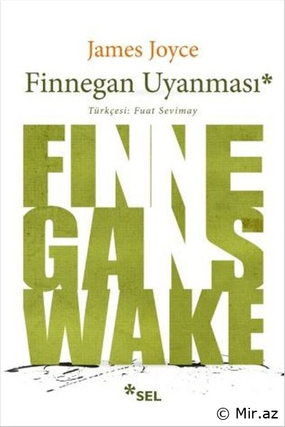 James Joyce "Finnegan Oyanışı" PDF