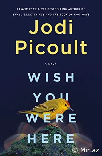 Jodi Picoult "Wish You Were Here" PDF