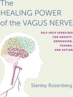 Stanley Rosenberg "Accessing The Healing Power Of The Vagus Nerve" PDF