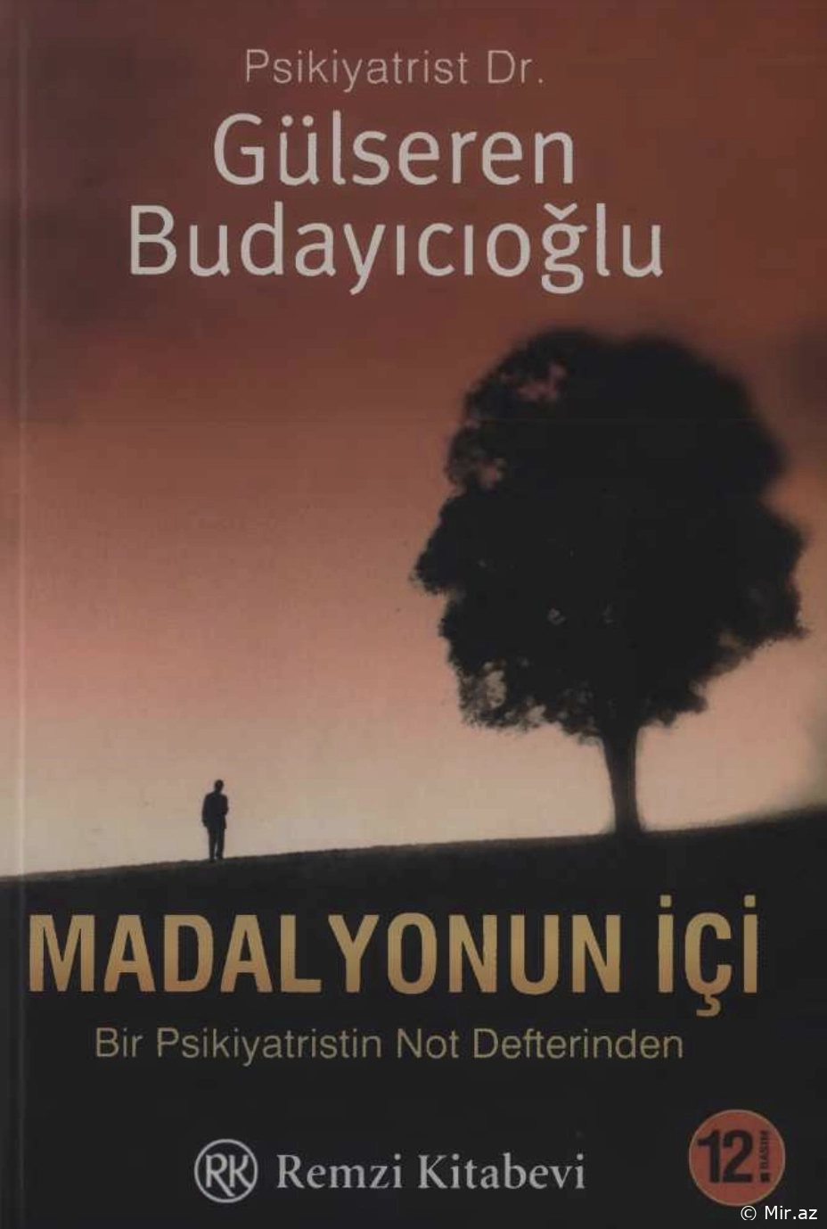 Gülseren Budayıcıoğlu "Madalyonun İçi" PDF