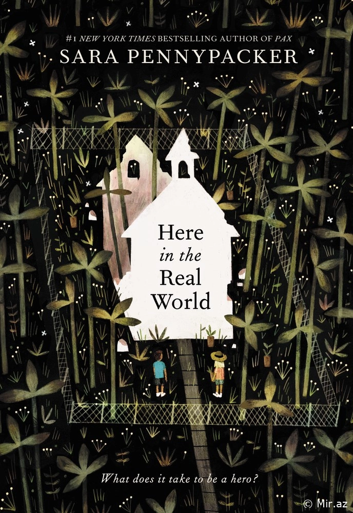 Sara Pennypacker "Here In The Real World" PDF
