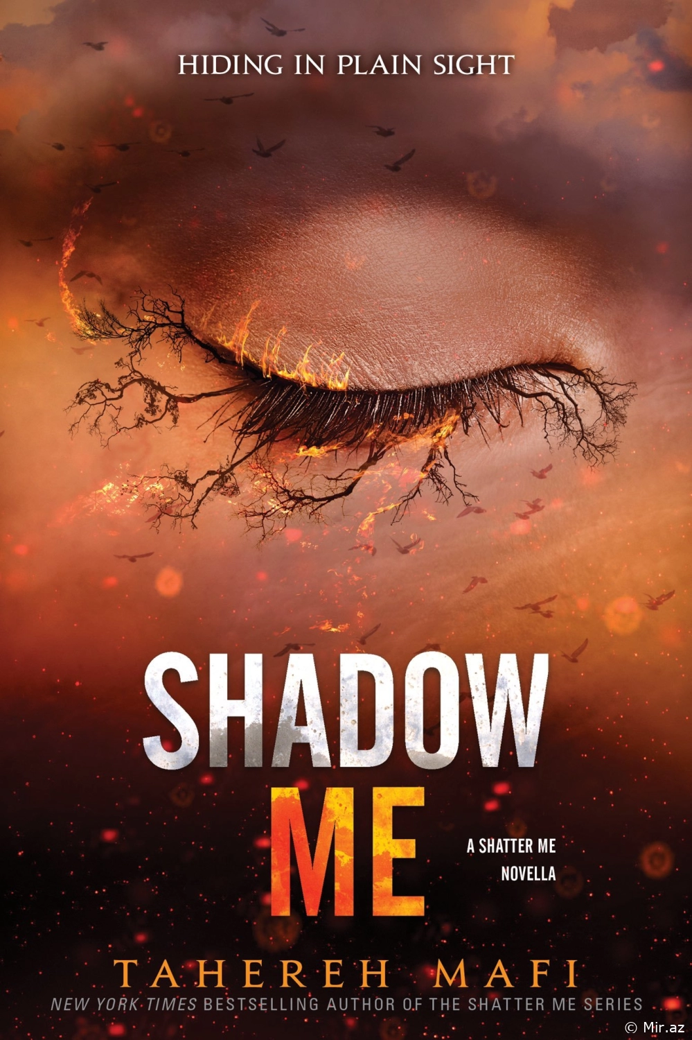 Tahereh Mafi "Shadow Me" PDF