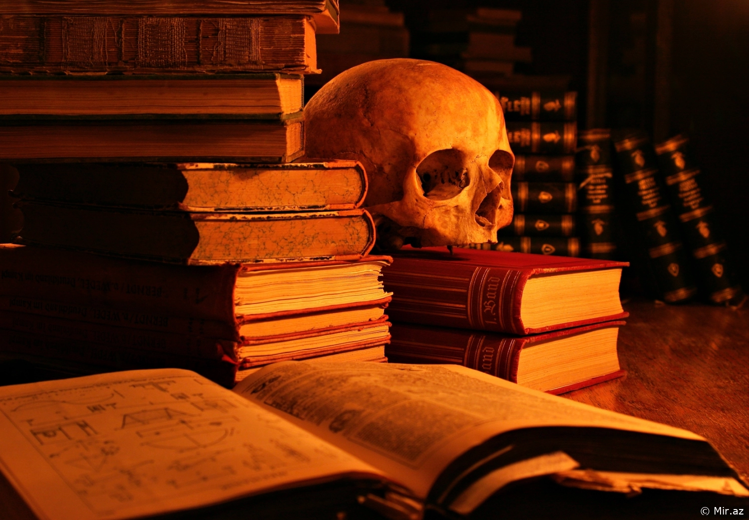 Ölüm ve Kayıpla Yüzleşmek: Ölümü Anlatan Kitaplar