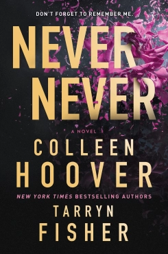 Colleen Hoover, Tarryn Fisher "Never Never (Never Never #1)" PDF