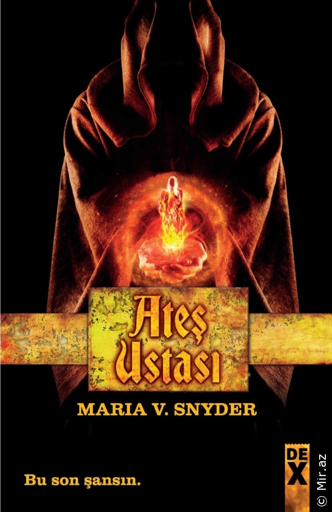 Maria V. Synder "Alov Ustası" PDF