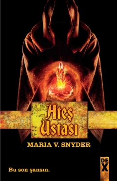 Maria V. Synder "Ateş Ustası" PDF