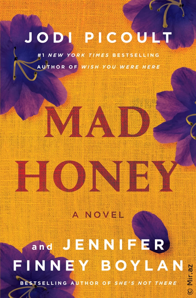 Jodi Picoult & Jennifer Finney Boylan "Mad Honey" PDF