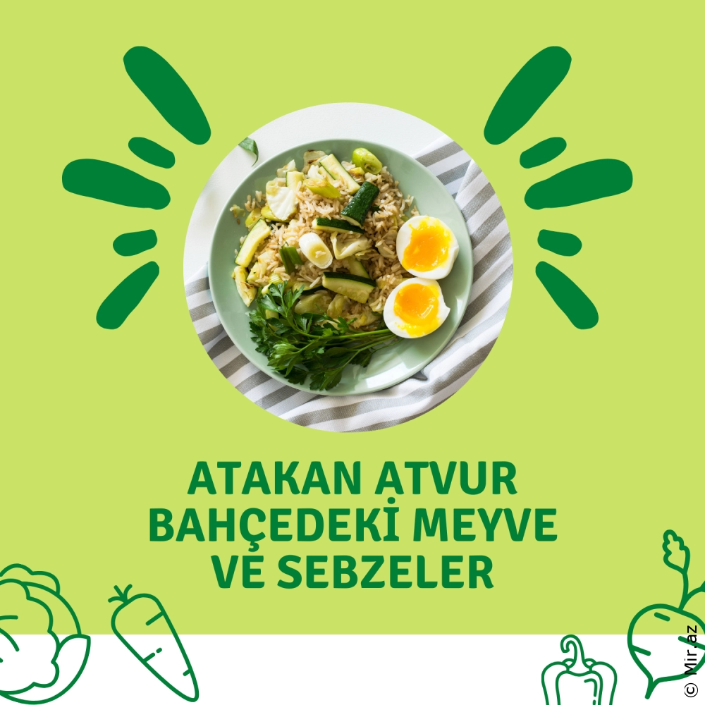 ATAKAN ATVUR - Bahçedeki Meyve ve Sebzeler