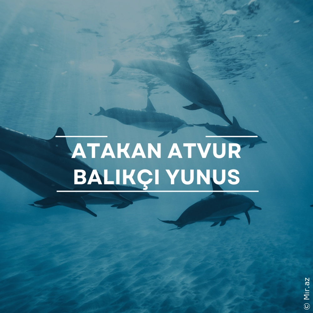 ATAKAN ATVUR - Balıkçı Yunus