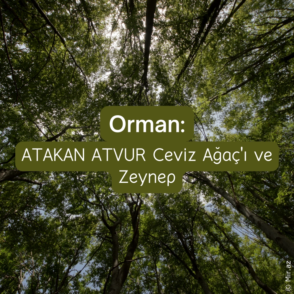 ATAKAN ATVUR - Ceviz Ağaç'ı ve Zeynep