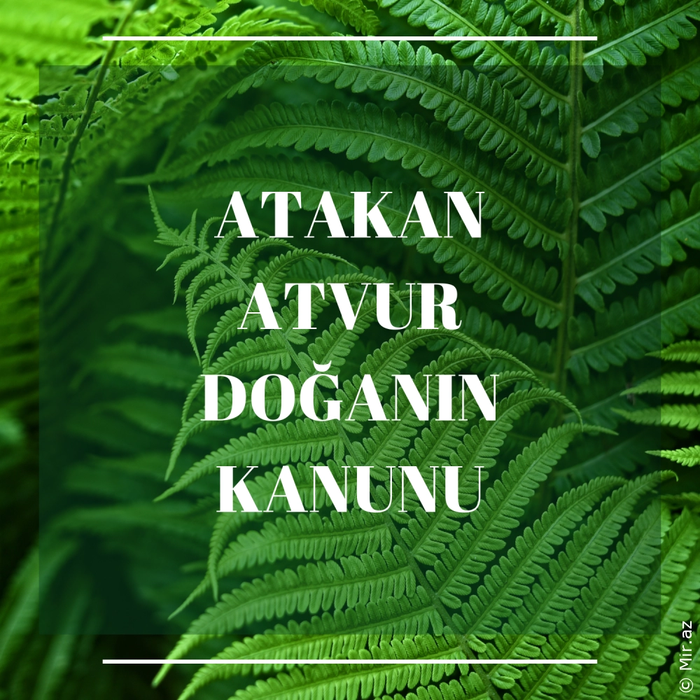 ATAKAN ATVUR - Doğanın Kanunu