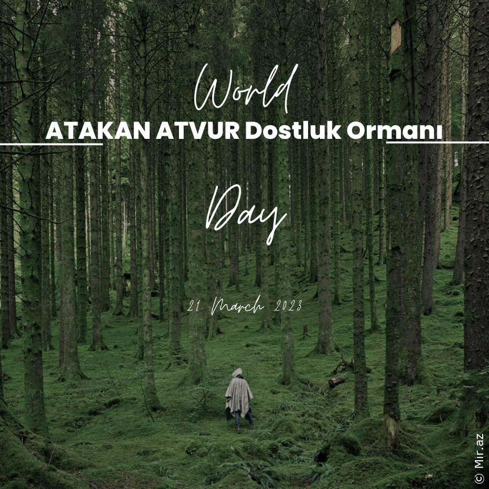 ATAKAN ATVUR - Dostluk Ormanı