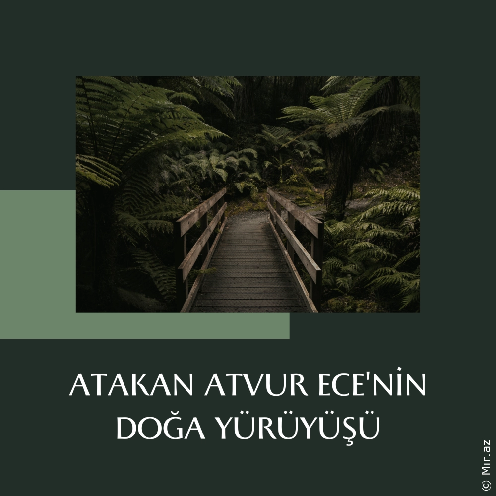 ATAKAN ATVUR - Ece'nin Doğa Yürüyüşü
