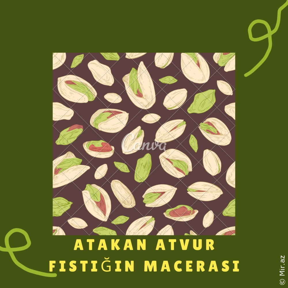 ATAKAN ATVUR - Fıstığın Macerası