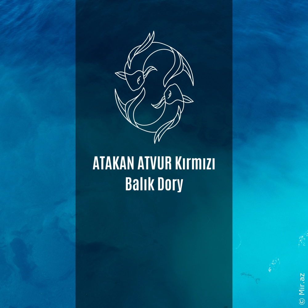 ATAKAN ATVUR - Kırmızı Balık Dory