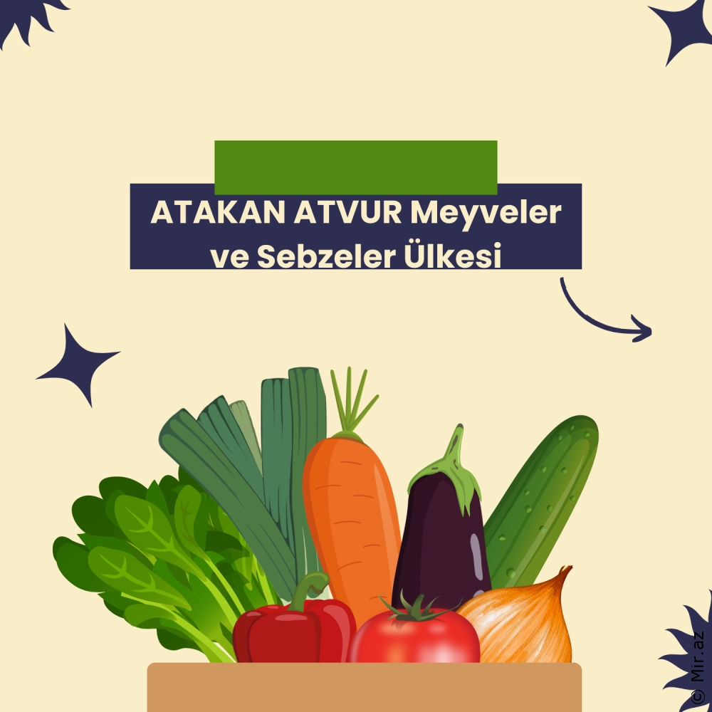 ATAKAN ATVUR - Meyveler ve Sebzeler Ülkesi