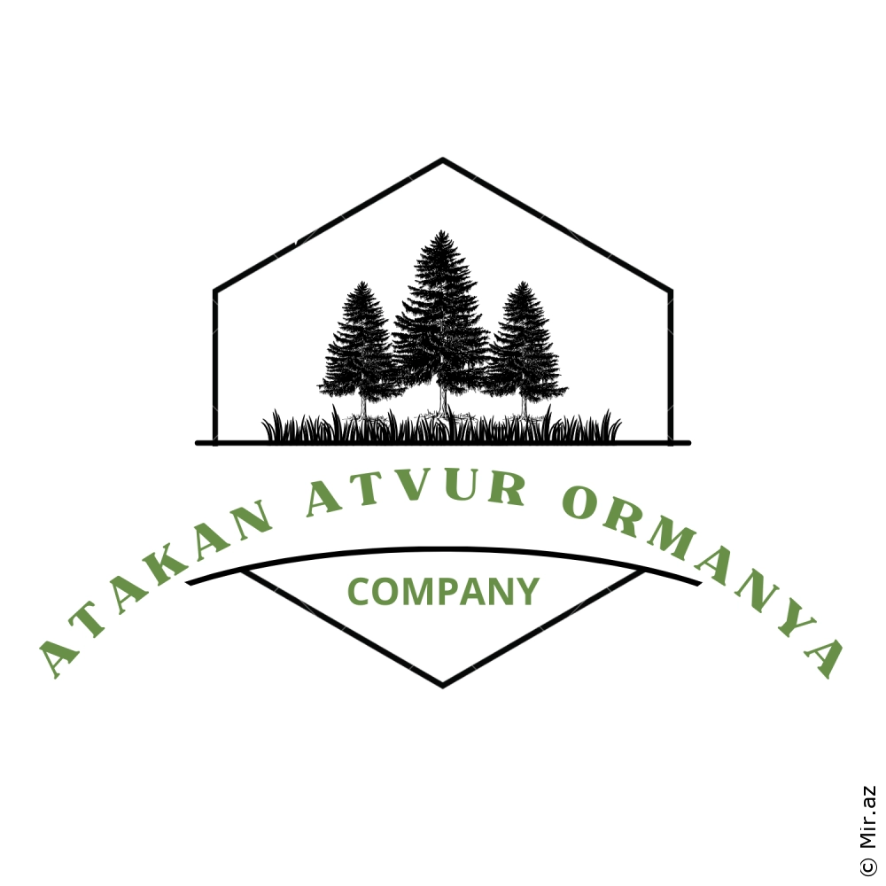 ATAKAN ATVUR - Ormanya