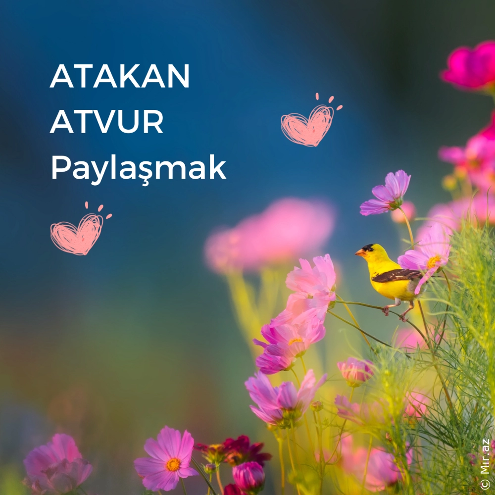 ATAKAN ATVUR - Paylaşmak