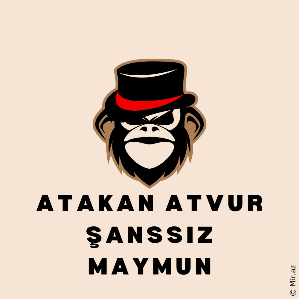 ATAKAN ATVUR - Şanssız Maymun