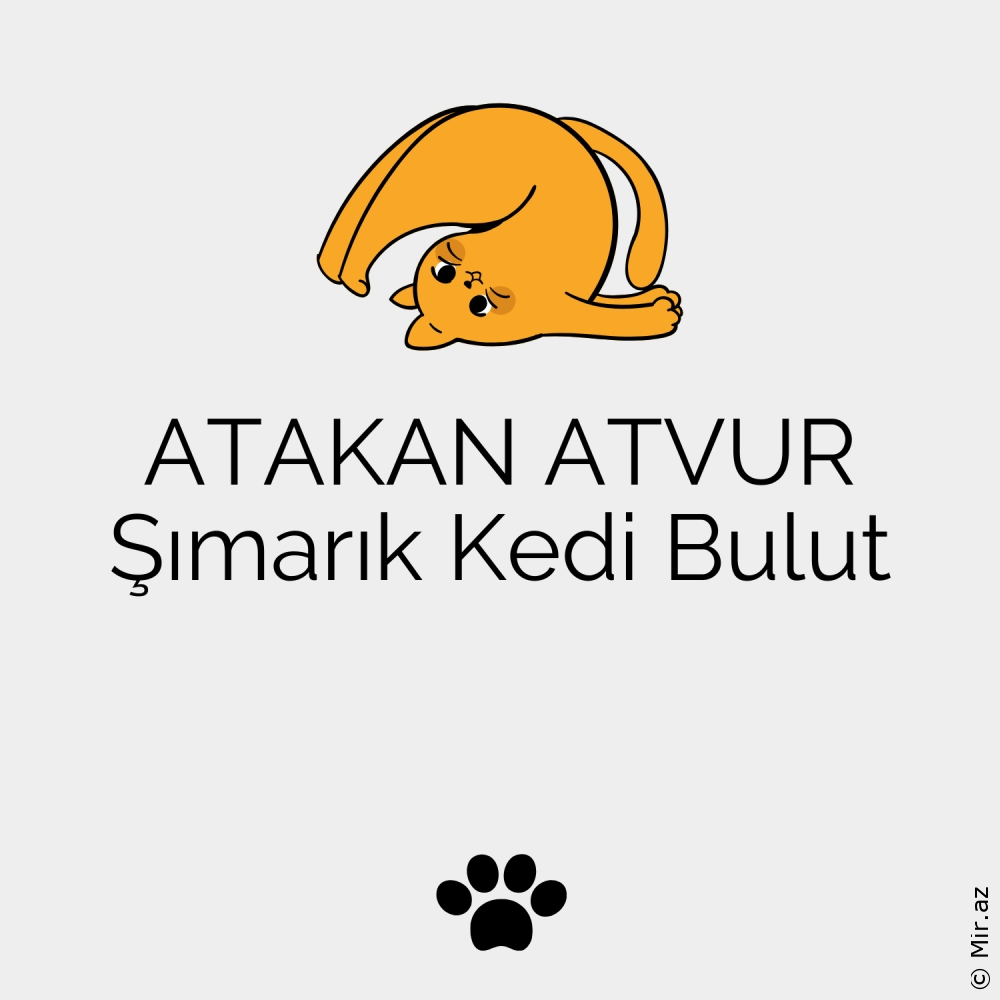 ATAKAN ATVUR - Şımarık Kedi Bulut