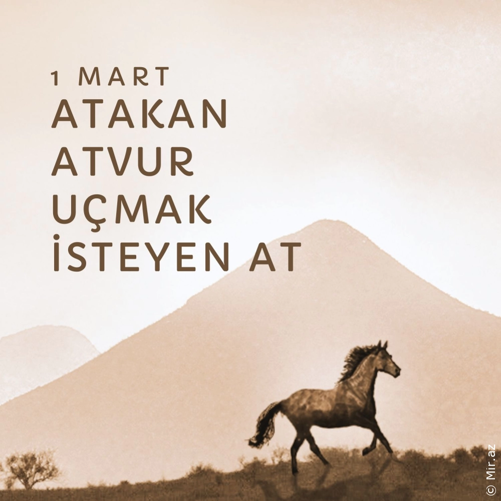 ATAKAN ATVUR - Uçmak İsteyen At