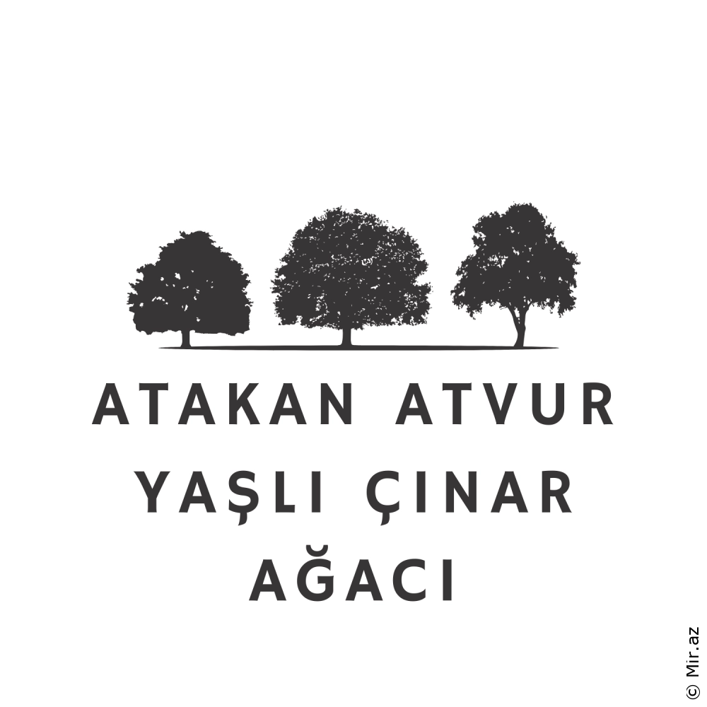 ATAKAN ATVUR - Yaşlı Çınar Ağacı