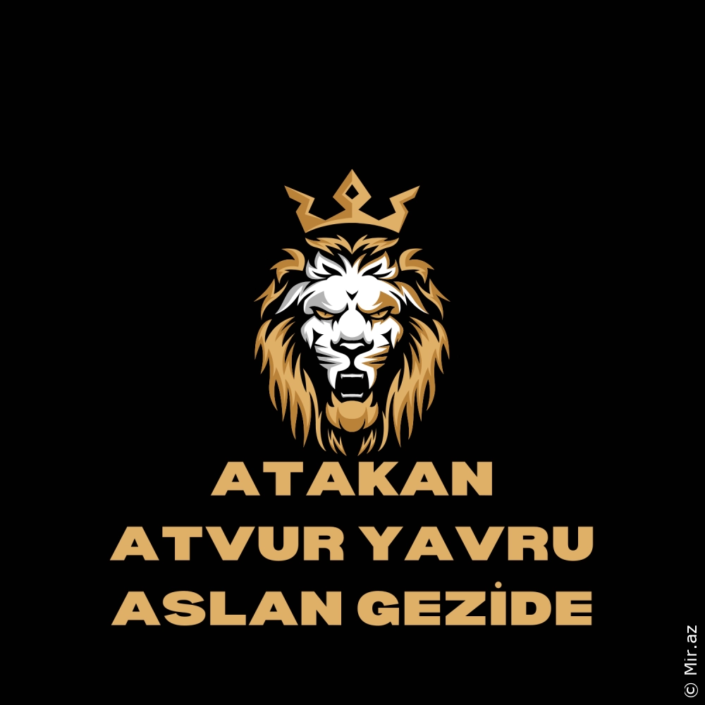 ATAKAN ATVUR - Yavru Aslan Gezide