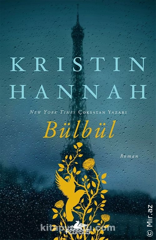 Kristin Hannah "Bülbül" PDF