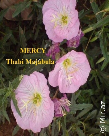 Thabi Majabula "Mercy" PDF