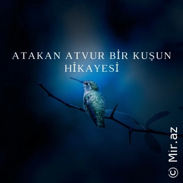 ATAKAN ATVUR - Bir Kuşun Hikayesi