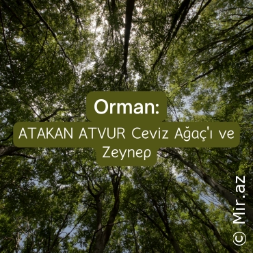 ATAKAN ATVUR - Ceviz Ağaç'ı ve Zeynep