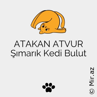 ATAKAN ATVUR - Şımarık Kedi Bulut