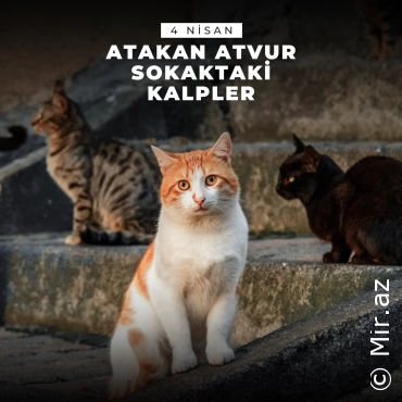ATAKAN ATVUR - Sokaktaki Kalpler