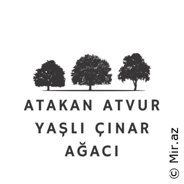 ATAKAN ATVUR - Yaşlı Çınar Ağacı