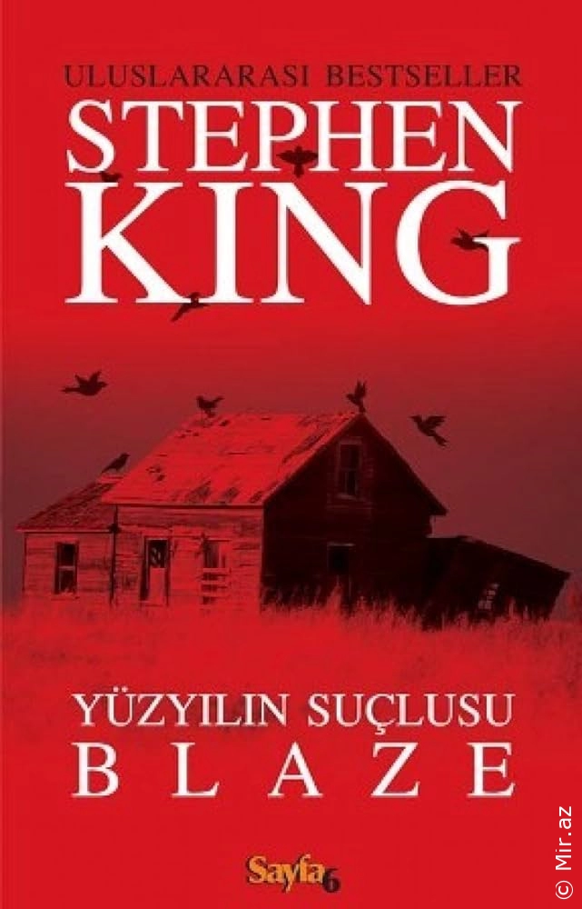 Stephen King "Yüzyılın Suçlusu Blaze" PDF