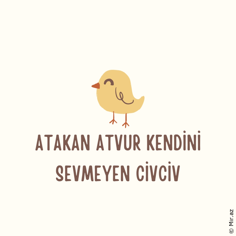 ATAKAN ATVUR - Kendini Sevmeyen Civciv