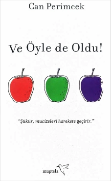 Can Perimcek "Ve Öyle de Oldu" PDF