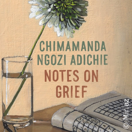 Chimamanda Ngozi Adichie "Notes on Grief" PDF