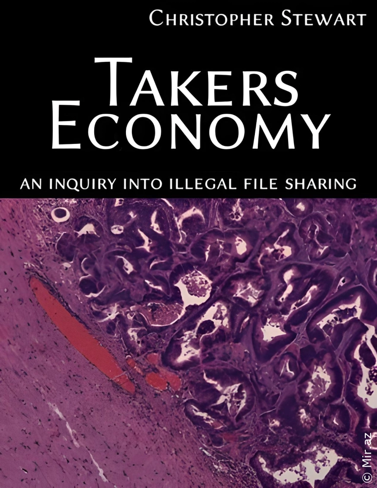 Christopher Stewart "Takers Economy: An Inquiry into Illegal File Sharing" PDF