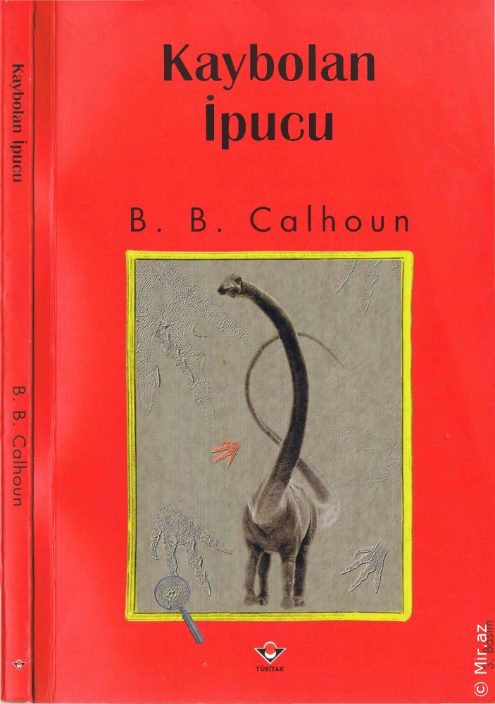 B. B. Calhoun "Kaybolan İpucu - 3" PDF