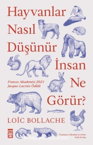 kitap indir