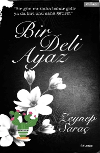 Zeynep Saçan "Bir Dəli Ayaz" PDF
