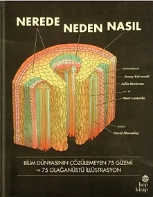 kitap indir