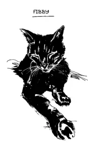 Caroline Paul "Kayıp Kedi" PDF