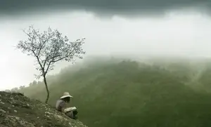 Siz Hansı Səviyyədə Kitab Oxuyansınız? – 10 Mərhələdə Kitab Zövqünün İnkişafı